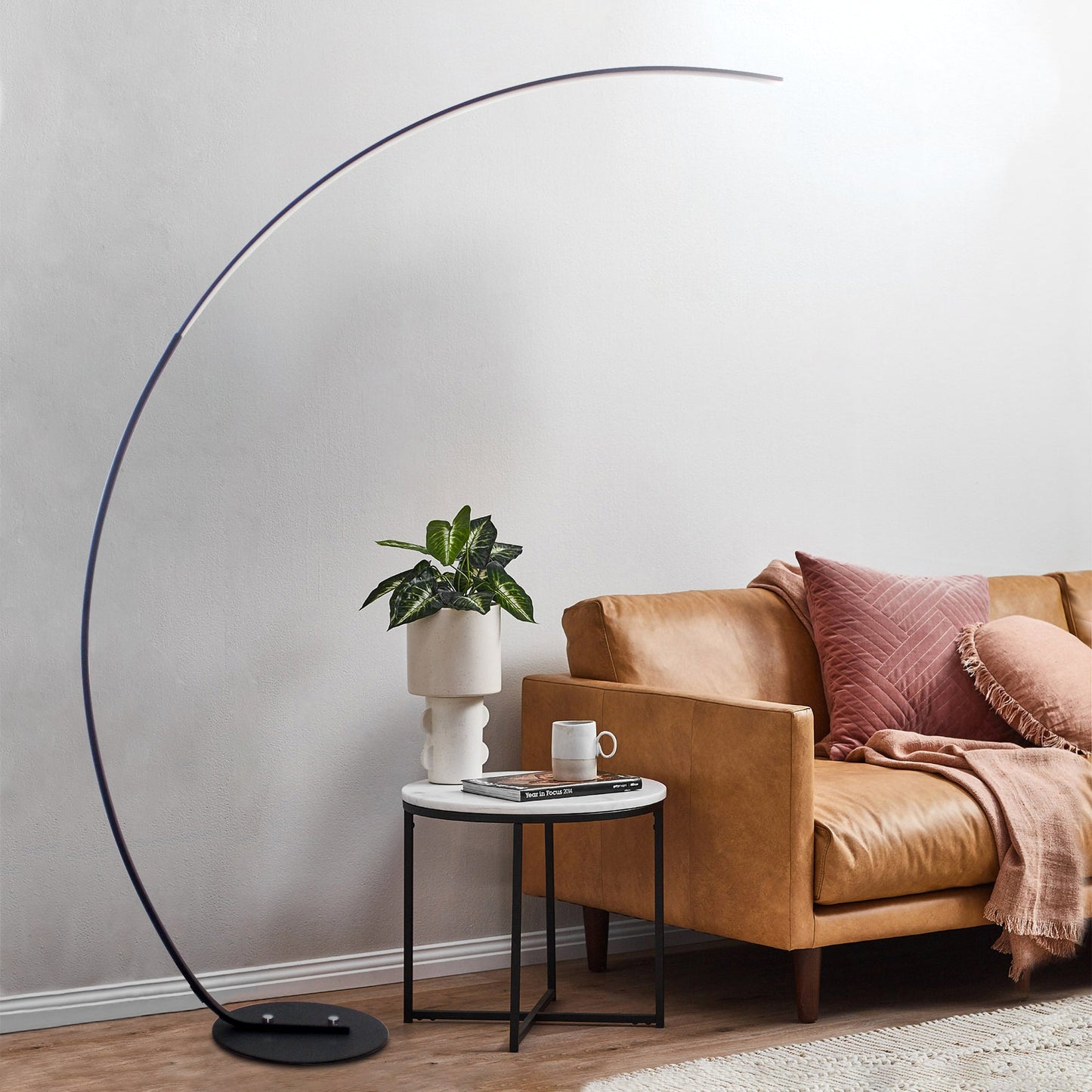 Modern Curved Floor Lamp
