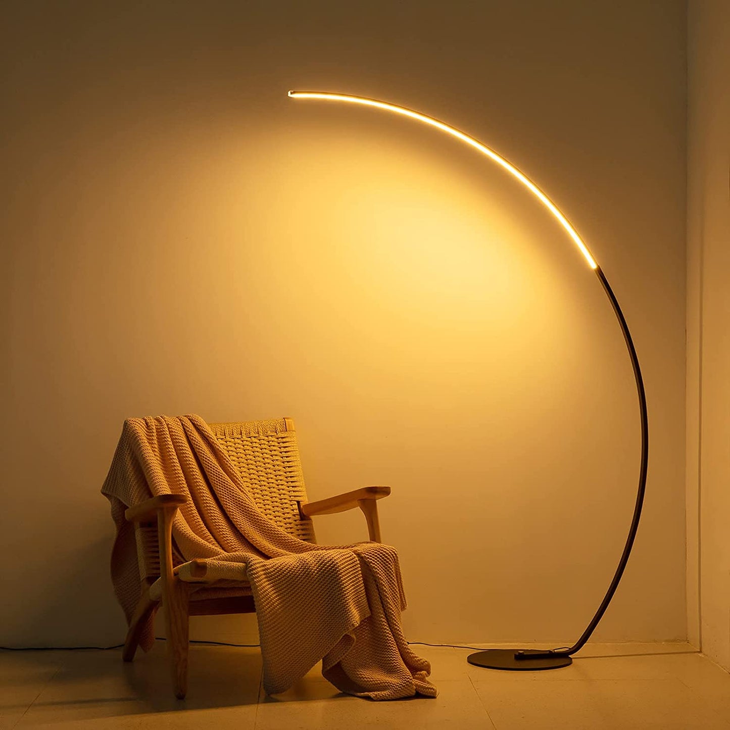 Modern Curved Floor Lamp
